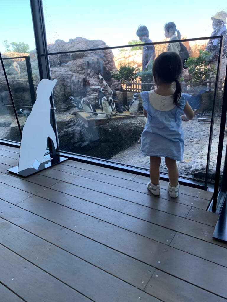 新潟県　水族館　比較