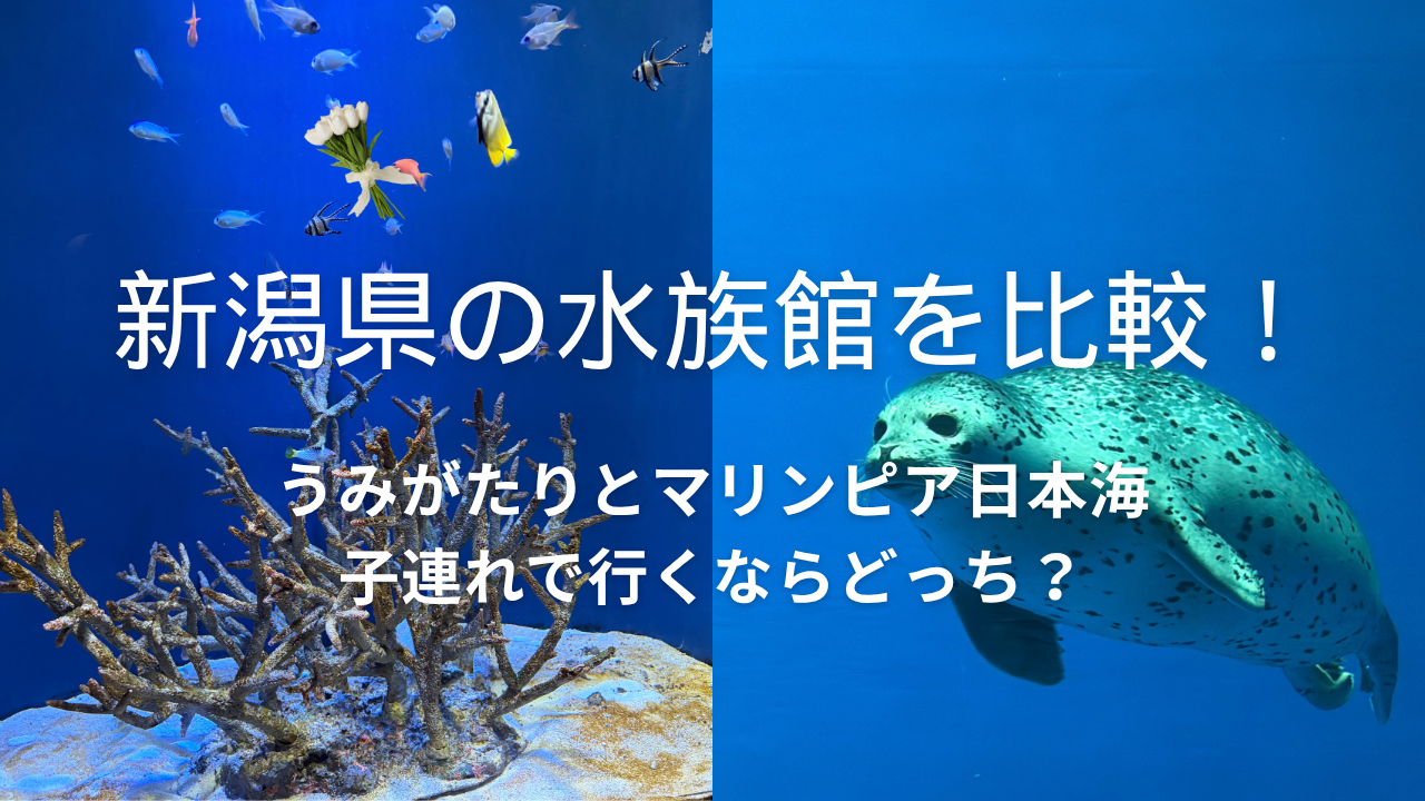新潟県　水族館　比較